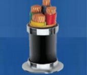 ��ȼ������