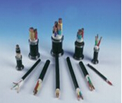 ��ȼ����