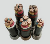 ��������ȼ����