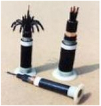 ���̵�±��ȼ����