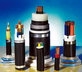 ZR-VV,ZR-KVVP��ȼ����